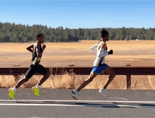 Running on Science: Stress & Recovery